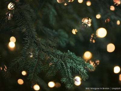 weihnachtsbaumzweig mit licht
