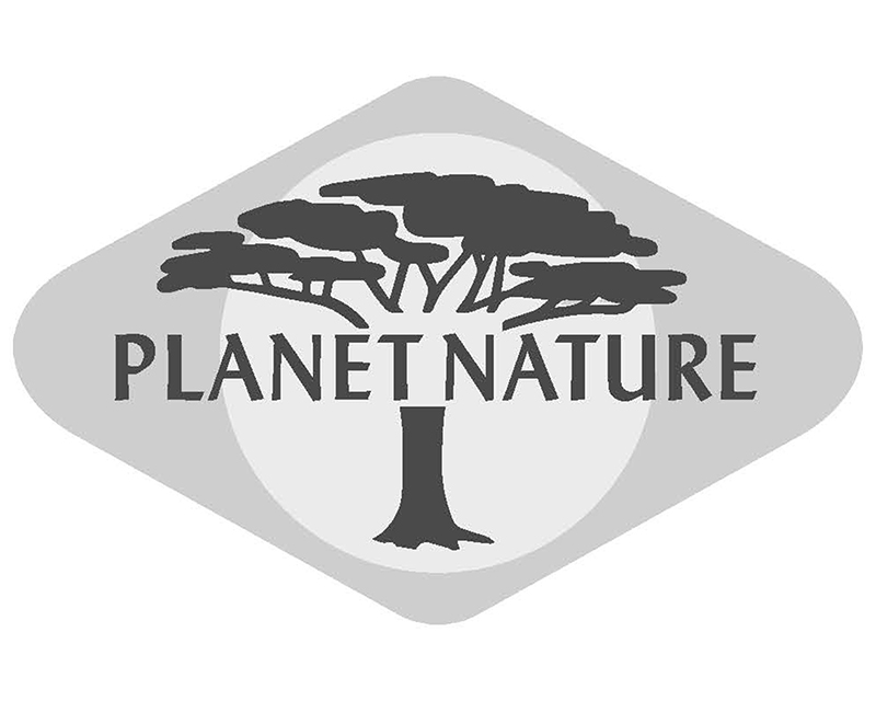 Planet Nature - Bio Kornblumenhonig