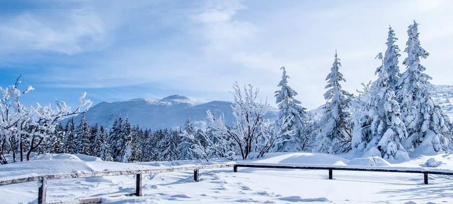 Winter Wonderland – Nachhaltige Tipps für die kalte Jahreszeit