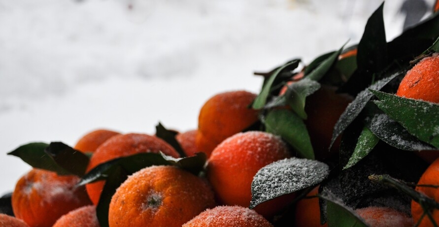 Regionales und saisonales Obst und Gemüse im Winter