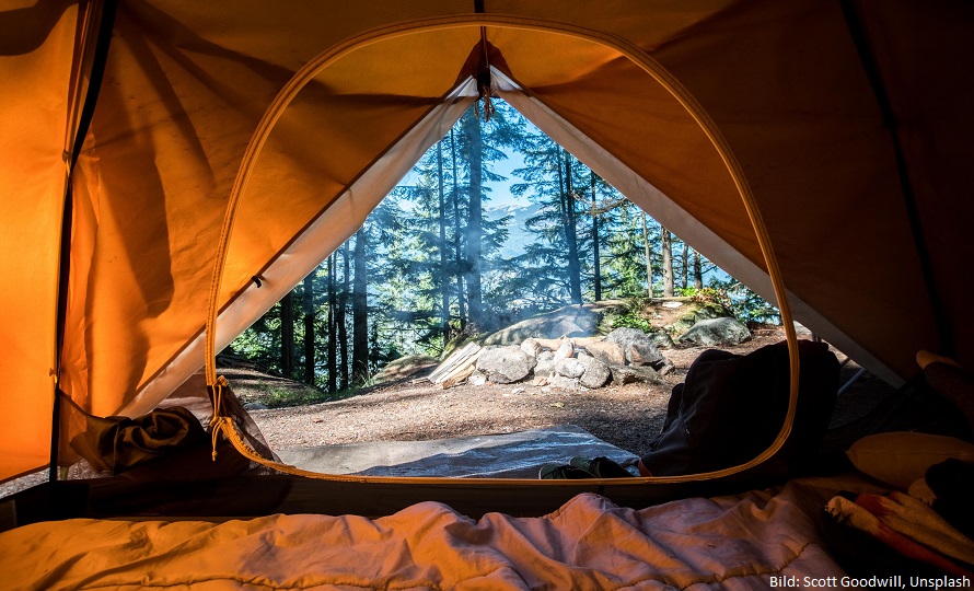 Aussicht aus einem Zelt auf einen Wald