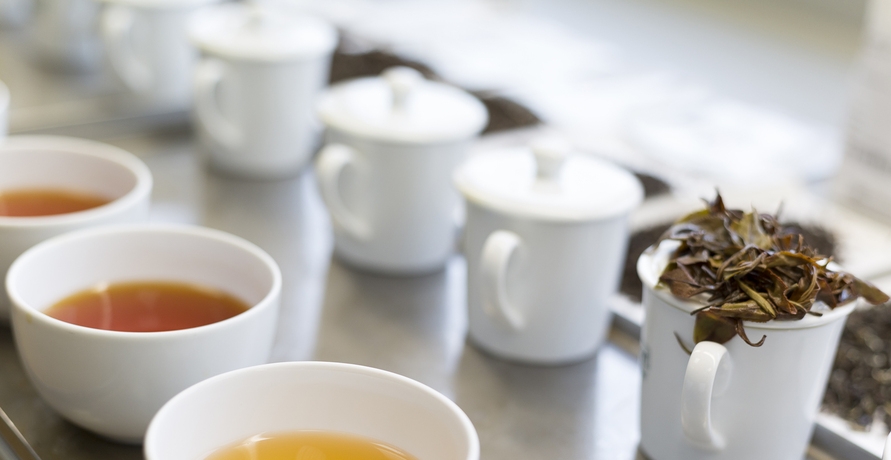 Interview mit TeeGschwendner: Einblicke in die Welt des Tees